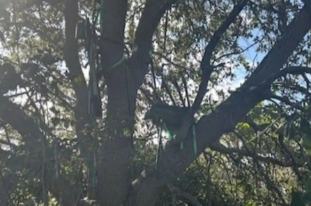 FBI điều tra chòi săn bắn tỉa gần nơi hạ cánh của Air Force One tại sân bay Palm Beach