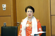 Cựu phó Bí thư Tỉnh ủy Đồng Nai Phan Thị Mỹ Thanh bị bắt