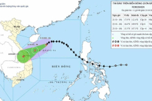 Đà Nẵng chuẩn bị ứng phó mưa lớn do bão số 12, lượng mưa có nơi trên 900mm
