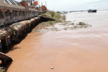 Đồng Tháp đề nghị Trung ương hỗ trợ 830 tỷ đồng xử lý sạt lở