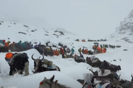 Hành trình thoát khỏi tử thần sau trận bão tuyết Everest