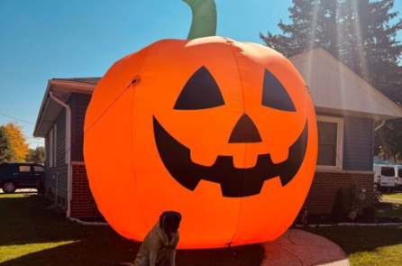 Mỹ: Quả bí ngô bơm hơi lớn ‘bỏ trốn’, đã bị cảnh sát bắt lại