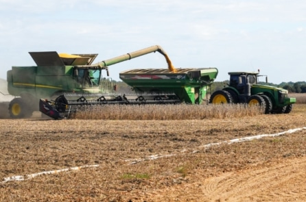 Trung Quốc đồng ý mua đậu nành Mỹ, chuyên gia đánh giá tác động