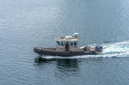 FBI đột kích khu vực cảng Los Angeles, bắt giữ nhiều nghi phạm cốt cán băng đảng Mafia