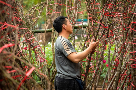Lịch nghỉ Tết Nguyên đán Bính Ngọ 2026 kéo dài 9 ngày