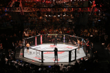 T.T Trump: Nhà Trắng sẽ tổ chức trận đấu UFC vào ngày sinh nhật lần thứ 80 của ông