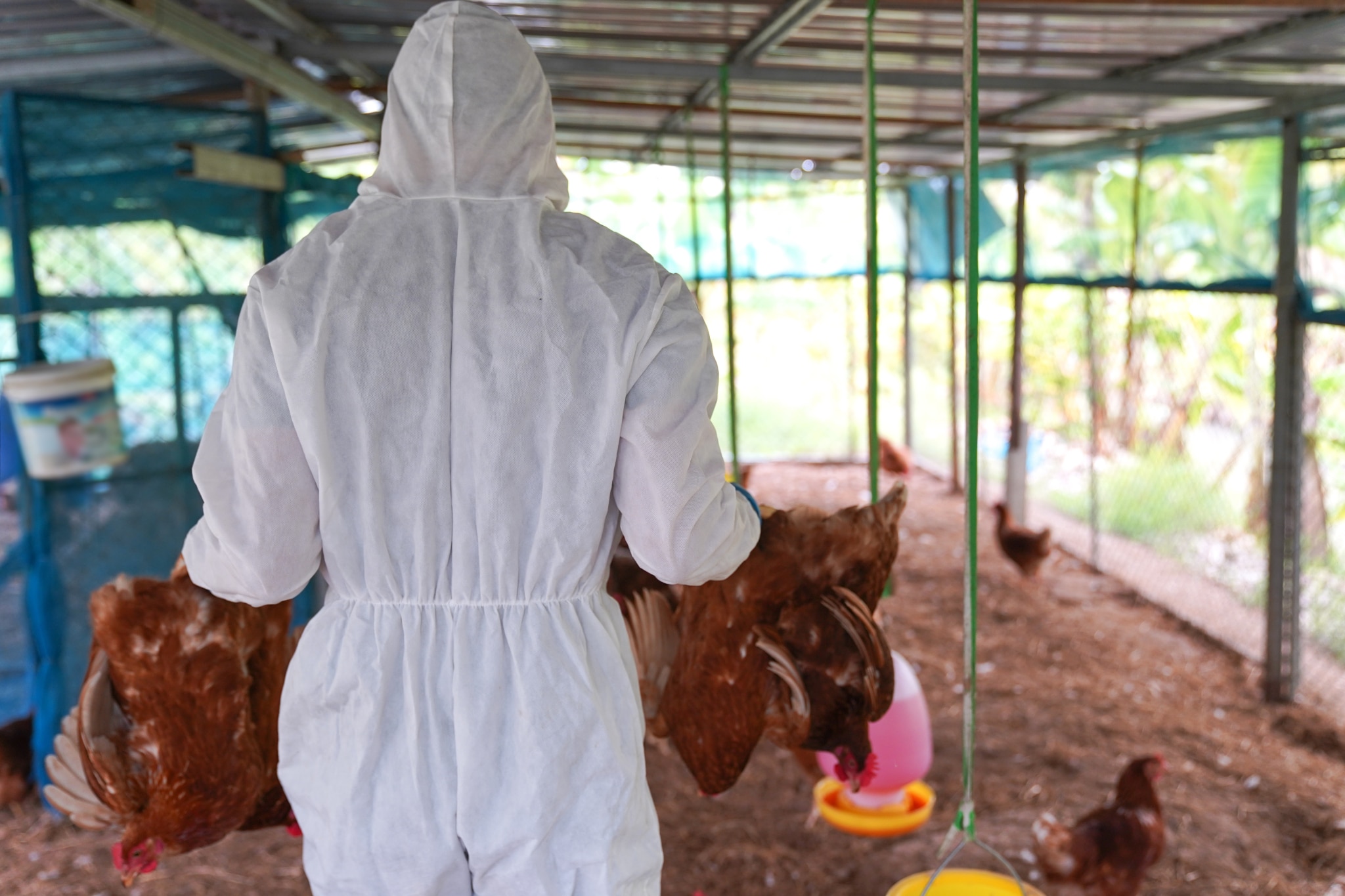 shutterstock 2153618495 scaled