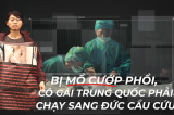 [VIDEO] BỊ LỪA MỔ CƯỚP PHỔI, CÔ GÁI TRUNG QUỐC CHẠY SANG ĐỨC ĐỂ TỐ CÁO ĐCSTQ