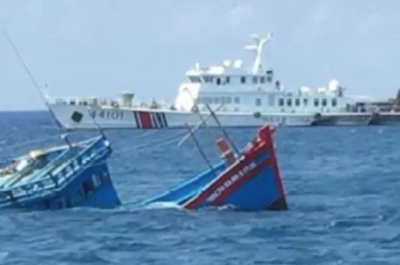 Tàu cá Gia Lai bị tàu Hàn Quốc đâm chìm, thuyền trưởng mất tích