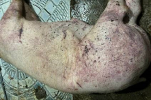 Kỹ sư thú y bán lợn bệnh, đưa vào chợ, bếp ăn công nhân