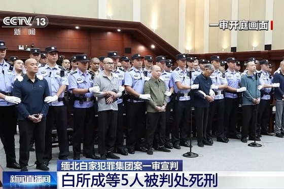 176223948247464 560 373