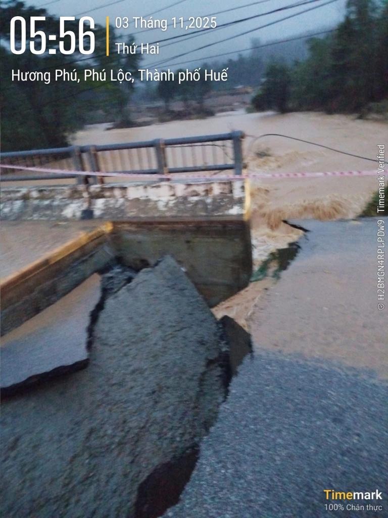 572738818 1225673049659498 8461680557729278074 n