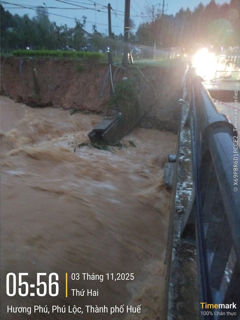 574094448 1225673076326162 5437448625856605543 n