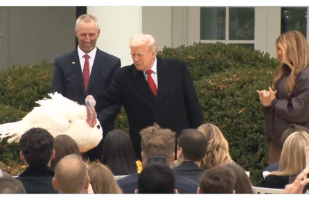 Gà tây phản ứng cực mạnh khi được ân xá – Video khiến dân mạng cười nghiêng ngả