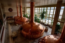 Bia draught, bia draft và bia craft khác nhau thế nào?