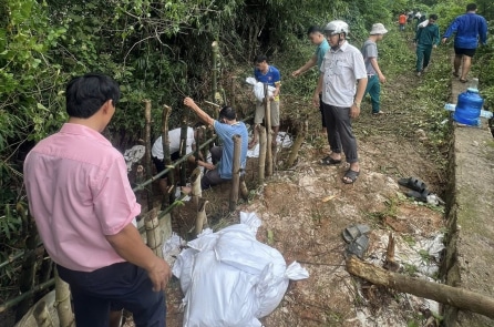 Gia Lai: Đê sông Gò Chàm bị sụt lún, rò rỉ nước