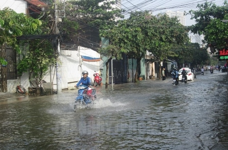 Dự báo triều cường đạt mức cao tại TP.HCM trong 5 ngày tới