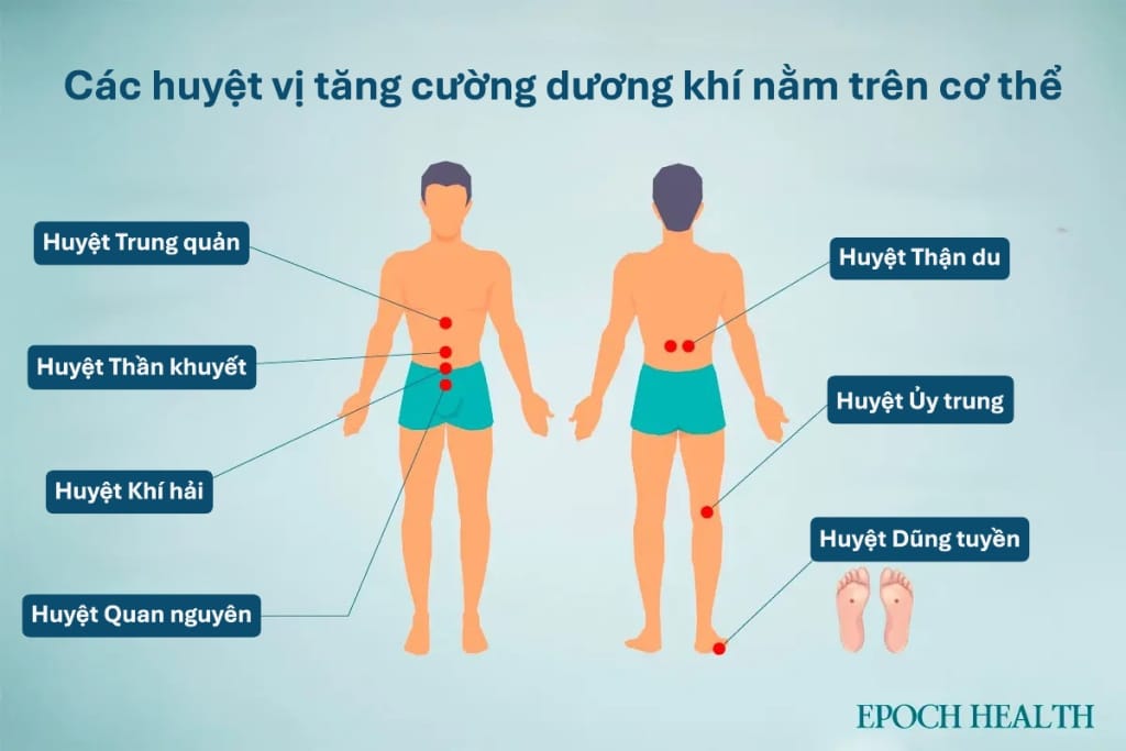 id5843362 Ways to replenish yang 2