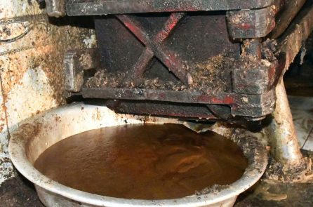 Kinh hãi với cơ sở nấu mỡ động vật giữa nghĩa trang tại Đà Nẵng