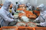 Nhà máy thuộc Trung Quốc có thể khiến tôm Indonesia xuất sang Mỹ phơi nhiễm phóng xạ Caesium-137
