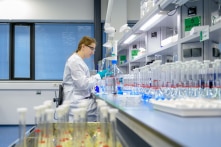 Bị doanh nghiệp TQ thâu tóm bất thường, startup Mỹ cầu cứu chính phủ