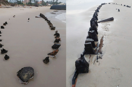 Đà Nẵng khẩn cấp trục vớt tàu cổ Hội An với kinh phí 5 tỷ đồng