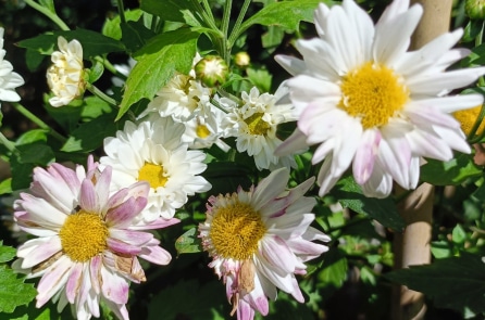 Thắc mắc về tha thứ