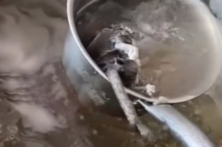 Cư dân mạng phát hiện “chuột hầm nhừ trong nồi nước canh” ở Quảng Tây [VIDEO]