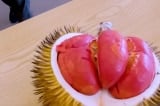 Sầu riêng hình thỏi son hiếm gặp của Malaysia gây chú ý