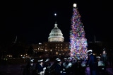 Chùm ảnh cây thông Noel tại Điện Capitol Hoa Kỳ năm 2025 được thắp sáng