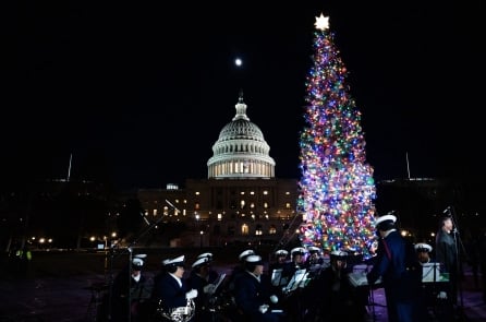 Chùm ảnh cây thông Noel tại Điện Capitol Hoa Kỳ năm 2025 được thắp sáng