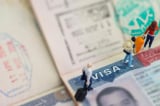Google và Apple cảnh báo nhân viên có visa Mỹ hạn chế đi lại quốc tế