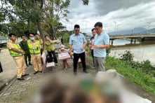 Hàng chục cá thể nghi là động vật hoang dã bị phát hiện trên xe khách