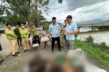 Hàng chục cá thể nghi là động vật hoang dã bị phát hiện trên xe khách