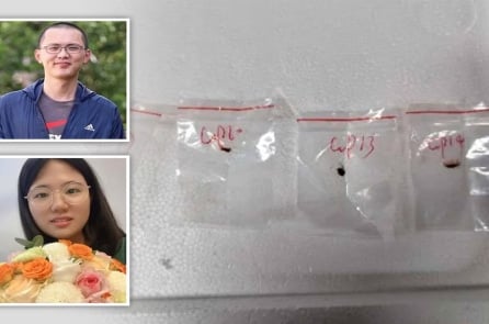 FBI: Học giả thừa nhận tuồn lậu nấm gây bệnh vào Mỹ đã bị trục xuất về Trung Quốc