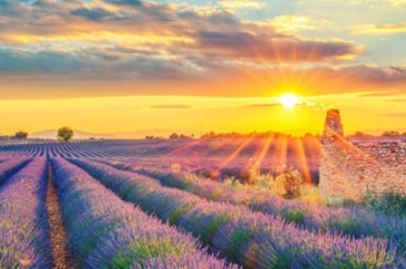 Khi bạn thực sự không thể chịu đựng thêm nữa, hãy nghĩ về 9 câu này