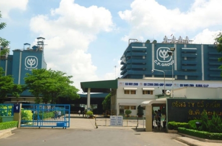 Công ty C.P. Việt Nam cùng hai doanh nghiệp khác bị thanh tra