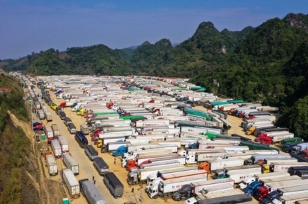 Hơn 1.300 phương tiện chở nông sản tươi sống ách tắc tại cửa khẩu do Nghị định 46