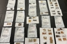 Bang Texas, Mỹ thu giữ hơn 1.100 bưu kiện hạt giống bí ẩn từ Trung Quốc