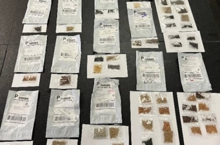 Bang Texas, Mỹ thu giữ hơn 1.100 bưu kiện hạt giống bí ẩn từ Trung Quốc