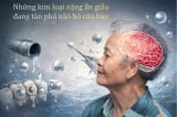 Những kim loại nặng ẩn giấu đang tàn phá não bộ của bạn