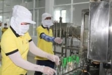 Nghề nước mắm Phan Thiết được đề xuất là Di sản văn hóa phi vật thể quốc gia