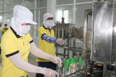 Nghề nước mắm Phan Thiết được đề xuất là Di sản văn hóa phi vật thể quốc gia