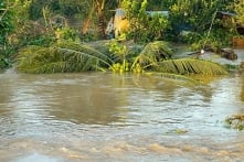 Vĩnh Long: Dông, lốc, mưa lớn, sạt lở… gây thiệt hại hơn 101 tỷ đồng