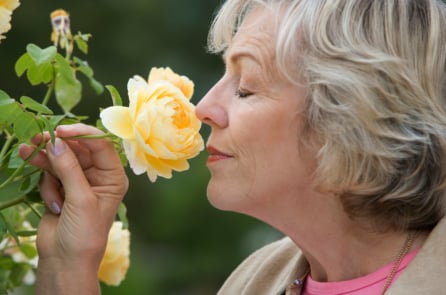 ‘Mùi người già’: Hiện tượng sinh học phía sau sự thay đổi mùi cơ thể theo tuổi