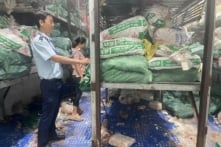 TP.HCM: Hơn 18 tấn lòng bò, thịt bò không chứng từ bị thu giữ