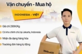 Xu hướng mua hàng Indo: Khi dịch vụ logistics trở thành “đòn bẩy” thương mại 2026