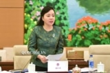 Cựu Bộ trưởng Nguyễn Thị Kim Tiến sắp hầu tòa phúc thẩm 