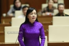 Cựu Bộ trưởng Nguyễn Thị Kim Tiến sắp hầu tòa vụ thất thoát hơn 803 tỷ đồng 
