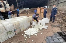 Gần 29.000 quả trứng vịt lộn không rõ nguồn gốc bị tiêu hủy tại Quảng Ninh dịp Tết